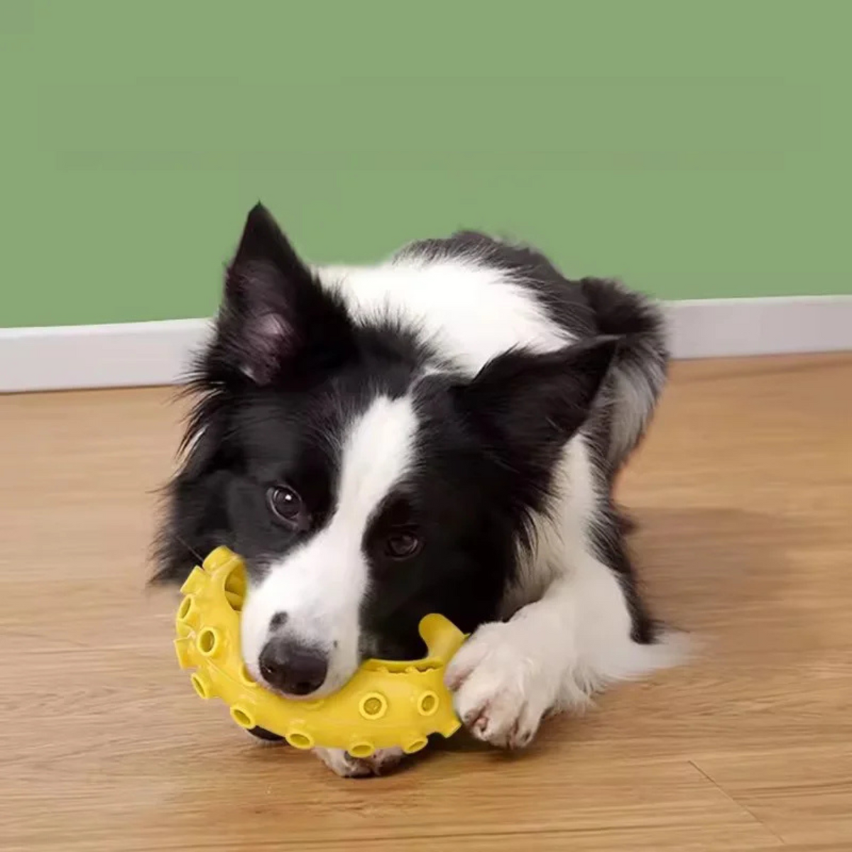 TPR Dental Toy for Small and Medium Dogs – product image 5