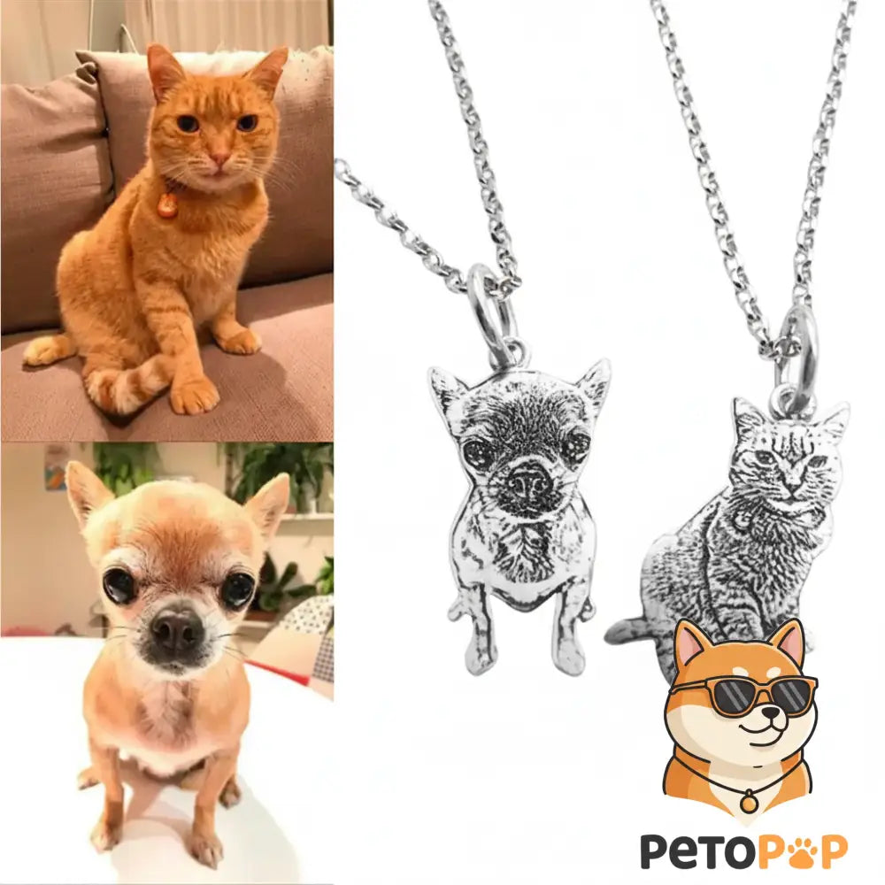 パーソナライズペット写真ネックレス|犬猫ポートレート刻印ペンダント|カスタム名入れメモリアルジュエリー ギフト|Petopop