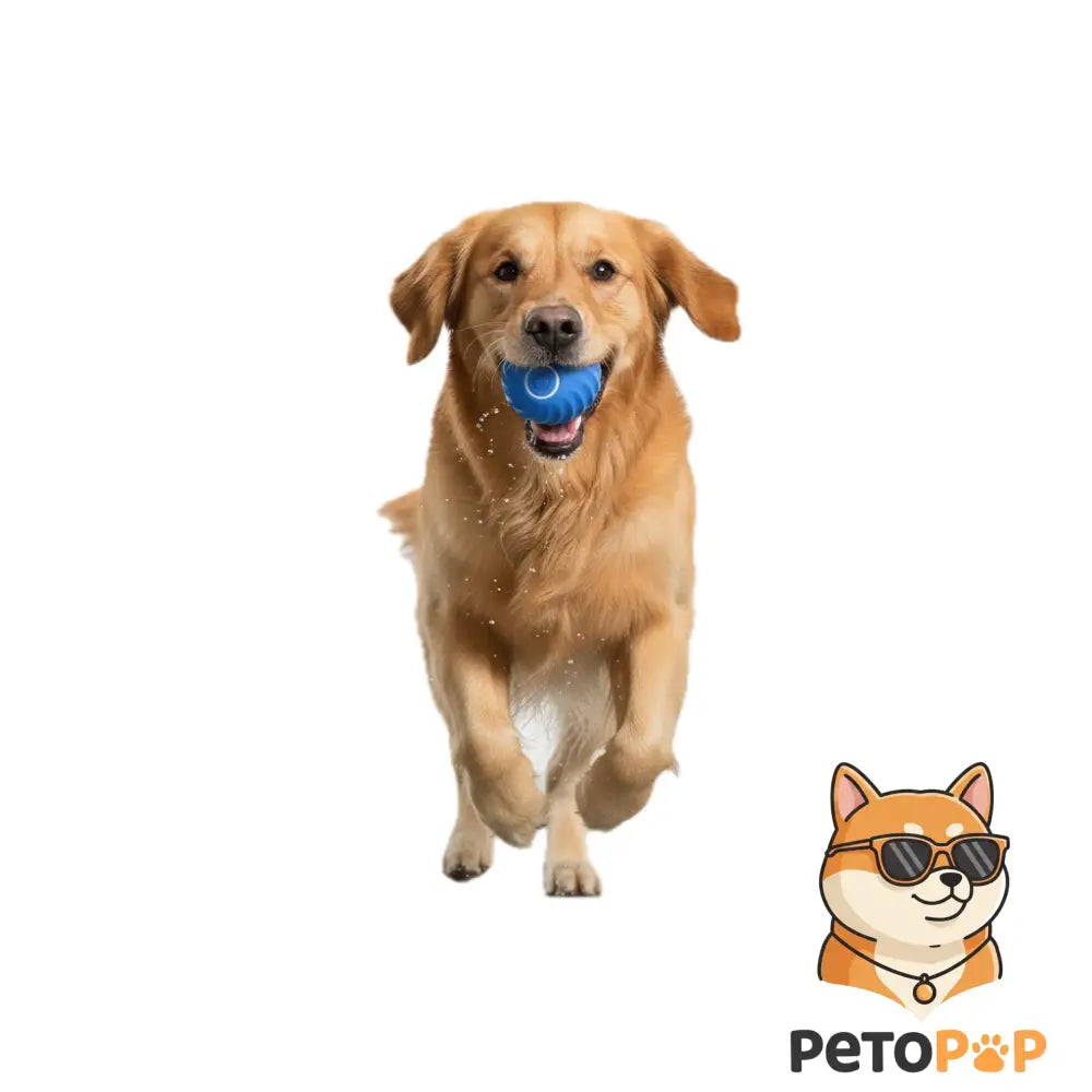 スマート犬用おもちゃボール|USB充電式 電動インタラクティブボール|自動で動く・跳ねる猫犬兼用|Petopop
