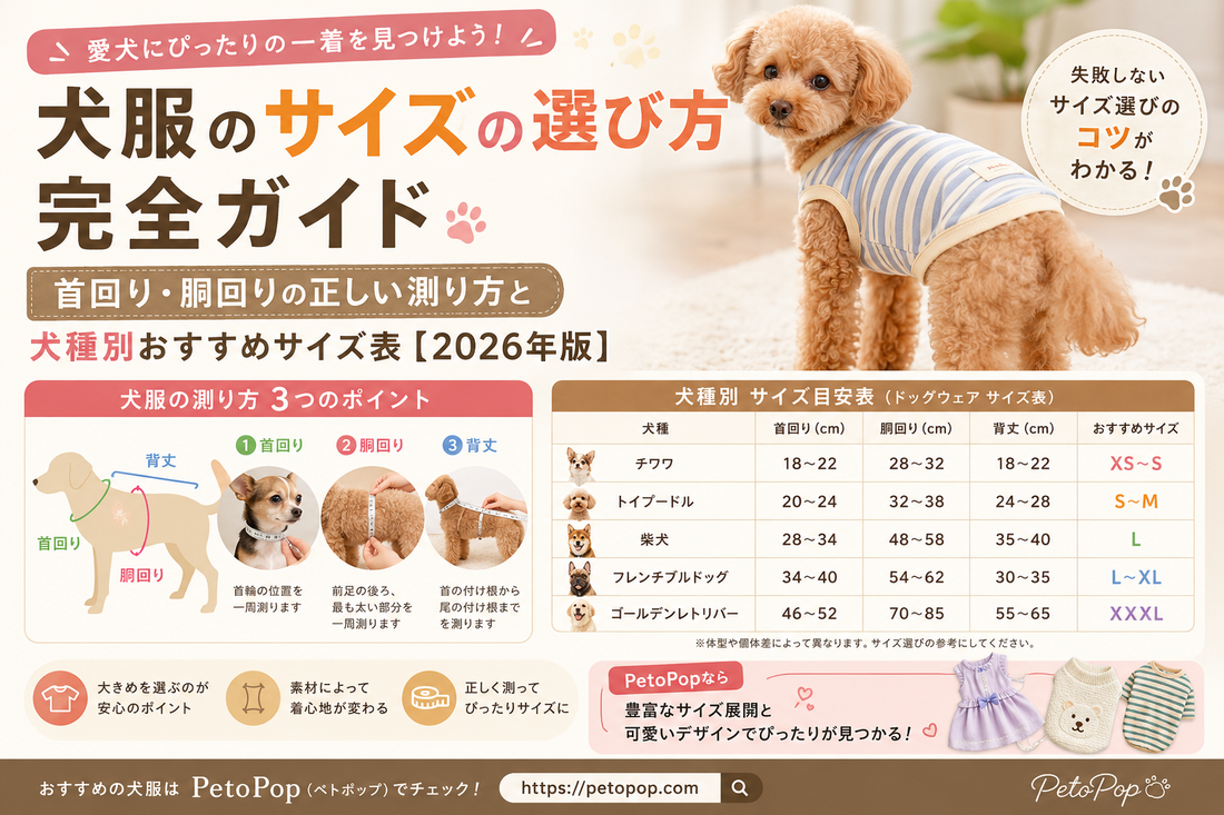犬服のサイズ選び完全ガイドのインフォグラフィック。ボーダー柄の犬服を着たトイプードルと、首回り・胴回り・背丈の測り方を解説した図、チワワ・トイプードル・柴犬・フレンチブルドッグ・ゴールデンレトリバーのサイズ表を掲載した日本語デザインバナー。