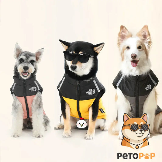 冬用ペット服おすすめの赤い防寒着を着た犬が雪道を散歩している様子