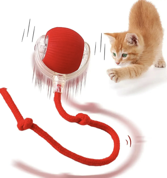 猫と犬が室内でペット用電動おもちゃで遊ぶ楽しいひととき