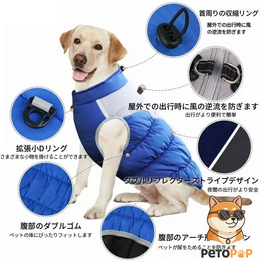 犬用品 おしゃれイメージ｜犬服・犬おもちゃコレクション