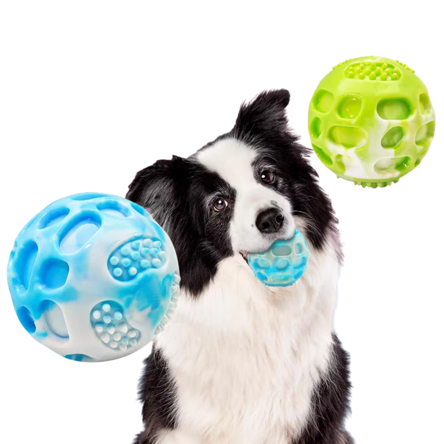 犬用ラバーボール（丈夫でデンタルケア機能付き）はPetopop製、犬が咥えており、青と緑色のボールが浮かんでいる