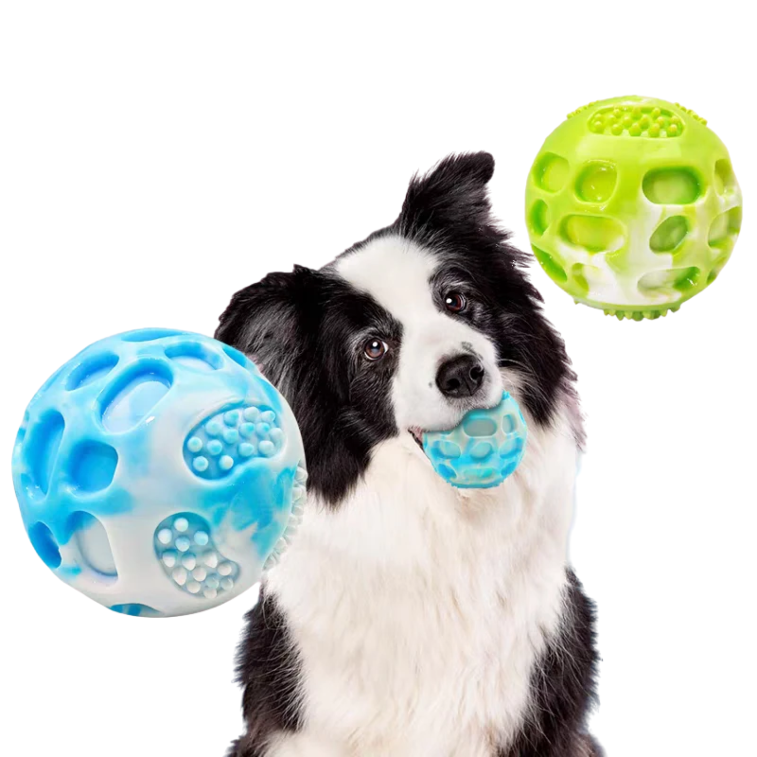 犬用ラバーボール（丈夫でデンタルケア機能付き）はPetopop製、犬が咥えており、青と緑色のボールが浮かんでいる