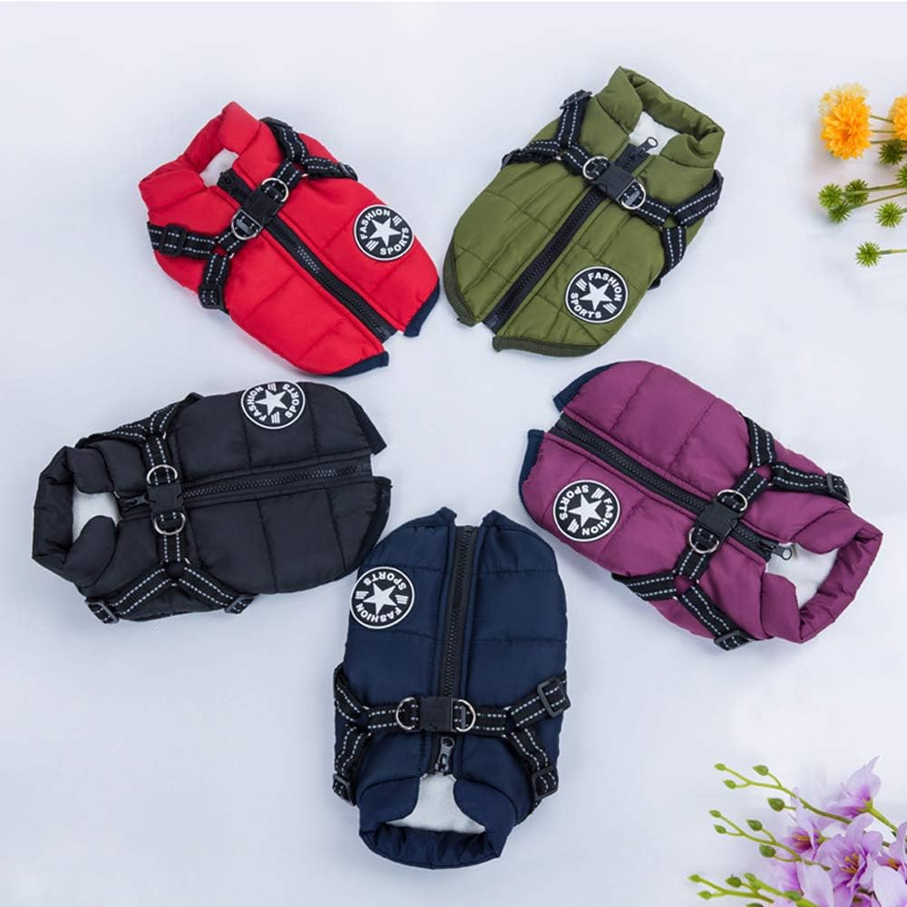 赤色、緑色、黒色、紺色、紫色のハーネス一体型犬用ジャケット（PetoPop製）と花