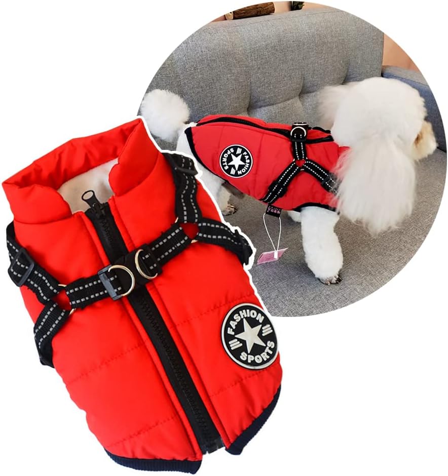 ハーネス一体型の赤い犬用ジャケット（小型犬・中型犬用アウター）from PetoPop、黒いジッパーとハーネス付き