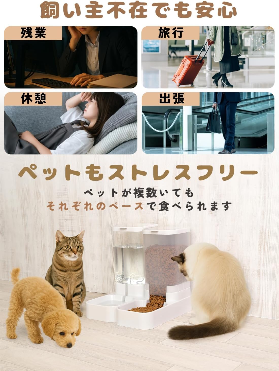犬猫用自動給餌＆給水ステーション（残量が見えるタイプ）by PetoPop、子犬、猫2匹が並ぶ様子を写したライフスタイル