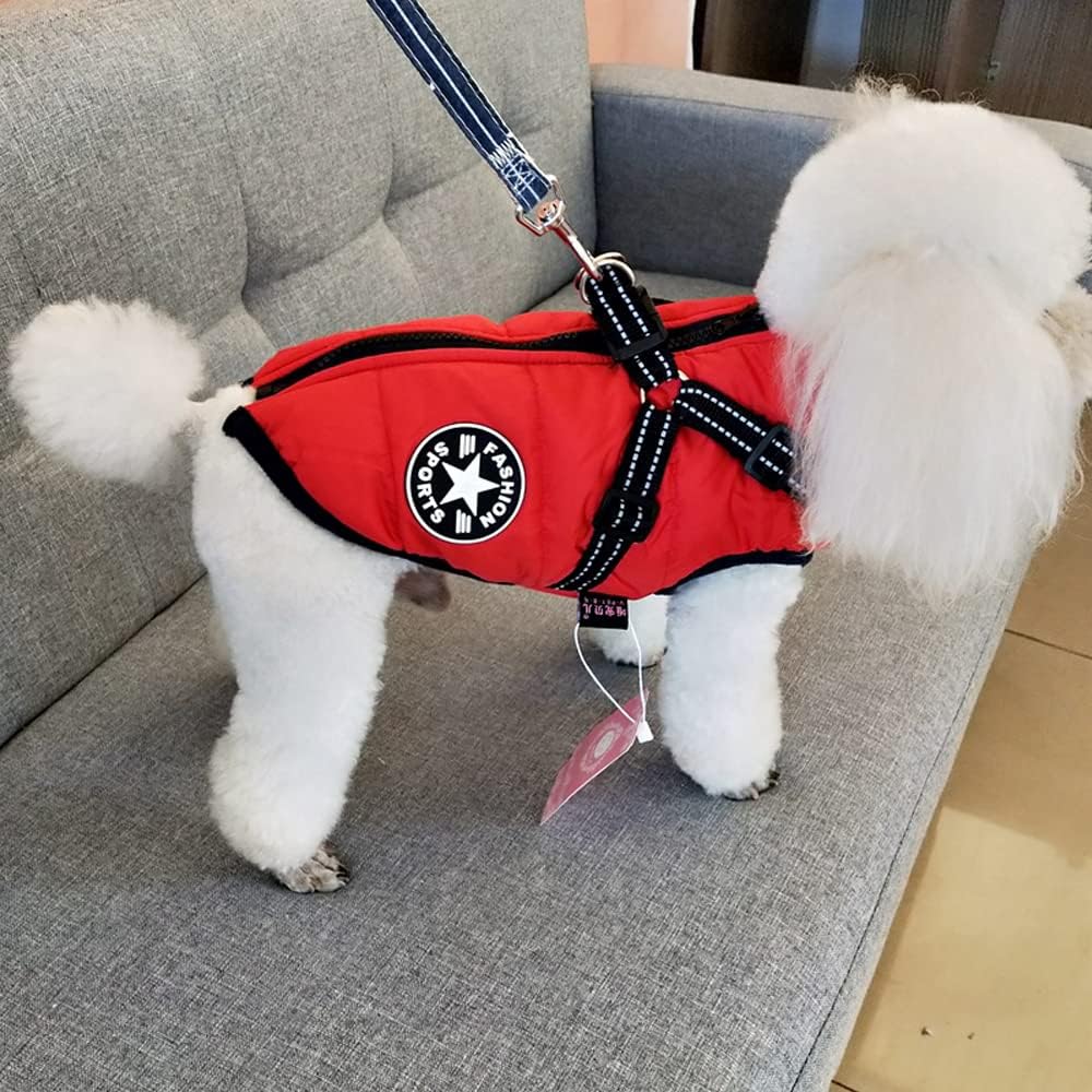 犬用赤色ジャケット（ハーネス一体型）、PetoPop製、黒色のアクセントと「スポーツファッション」のロゴ付き