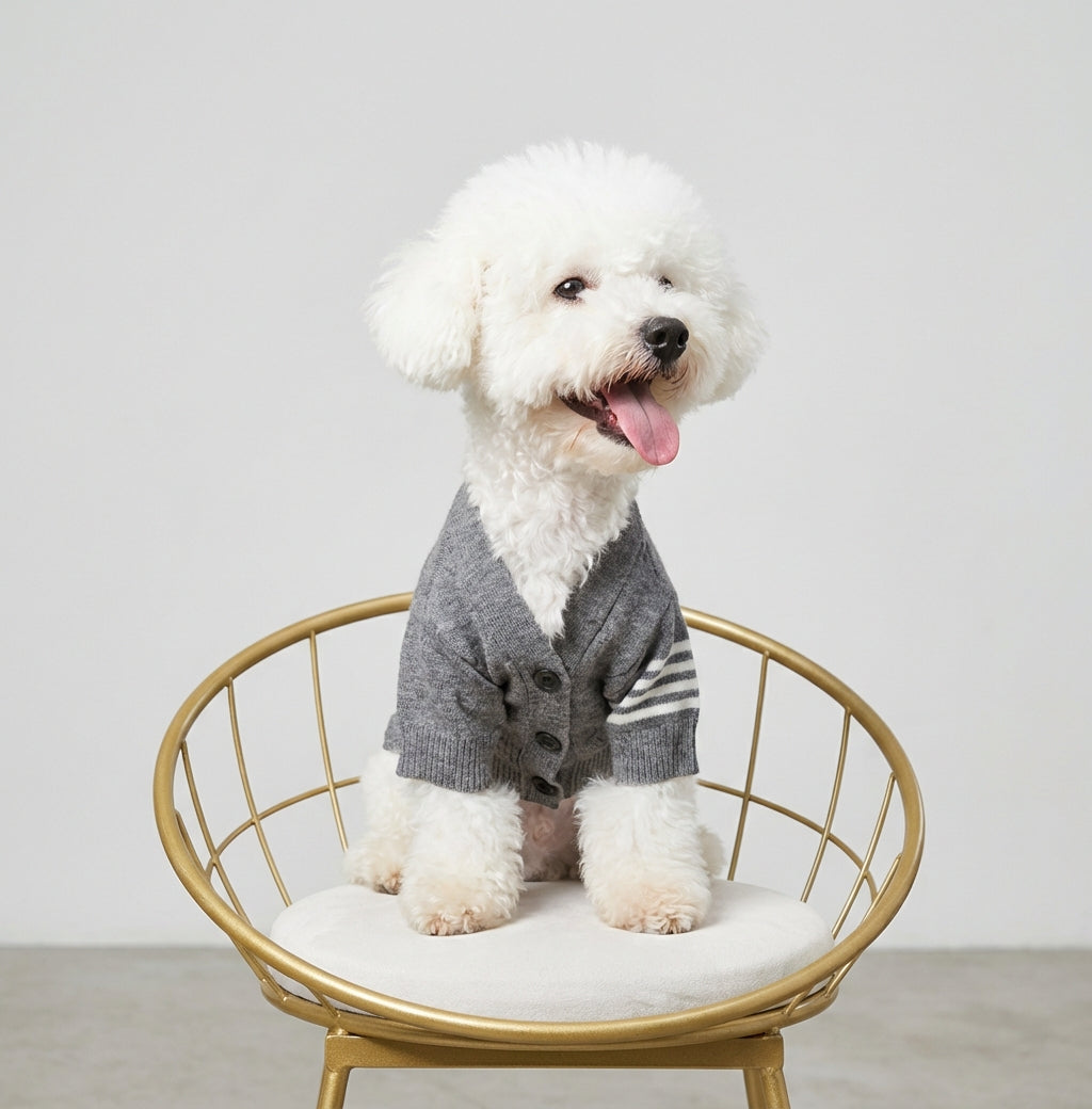 春秋冬用のプレミアムニットカーディガン（三色ライン入り）by PetoPop、ボタン付き、犬が椅子に座っているスタイル