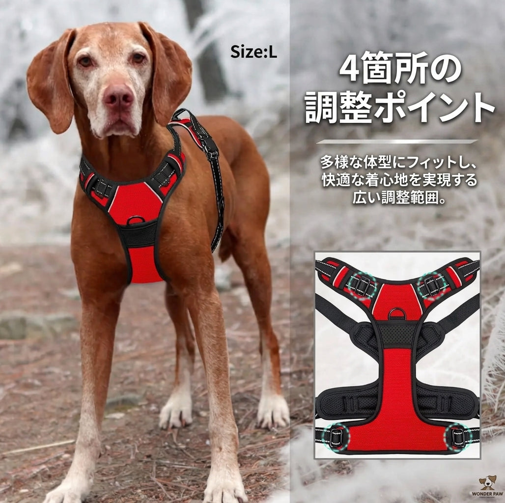 Red and black dog harness with adjustable straps and control handle by PetoPop, shown on a large brown dog in outdoor setting, featuring W-lock buckles and…