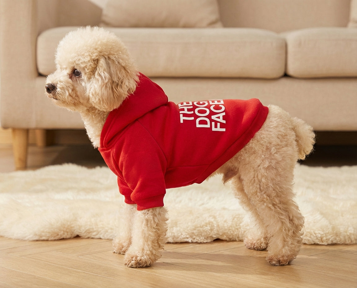 赤いペット用フーディー、PetoPop製、背中に白い文字入り