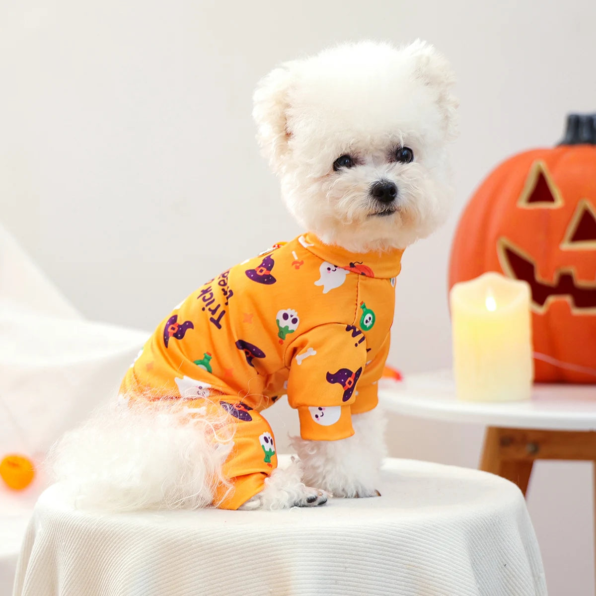 犬用ペット服|四季通用おしゃれコスチューム|小型犬・子犬用ハロウィン&日常ウェア|Petopop