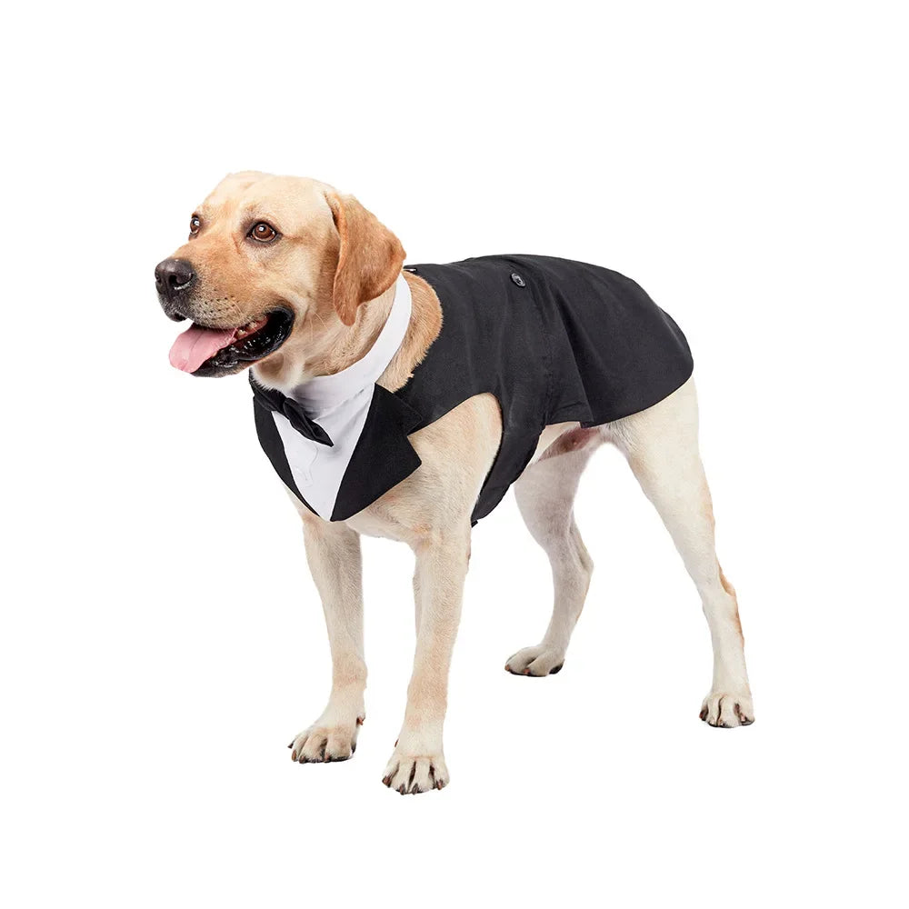 Formal Dog Suits & Tuxedos – product image 5