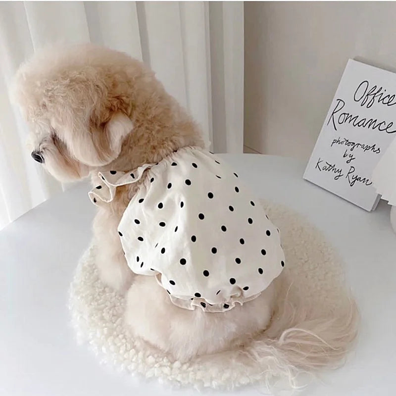 犬猫用ドットワンピース｜夏のペット服 チワワ・ビション・フレブル対応 薄手コットン｜PetoPop