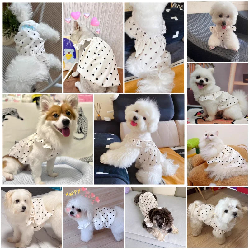 犬猫用ドットワンピース｜夏のペット服 チワワ・ビション・フレブル対応 薄手コットン｜PetoPop