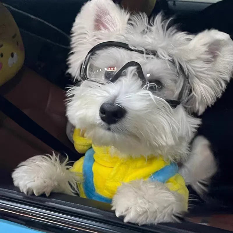 Pet Dog Goggles – product image 4