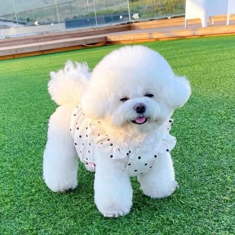 犬猫用ドットワンピース｜夏のペット服 チワワ・ビション・フレブル対応 薄手コットン｜PetoPop