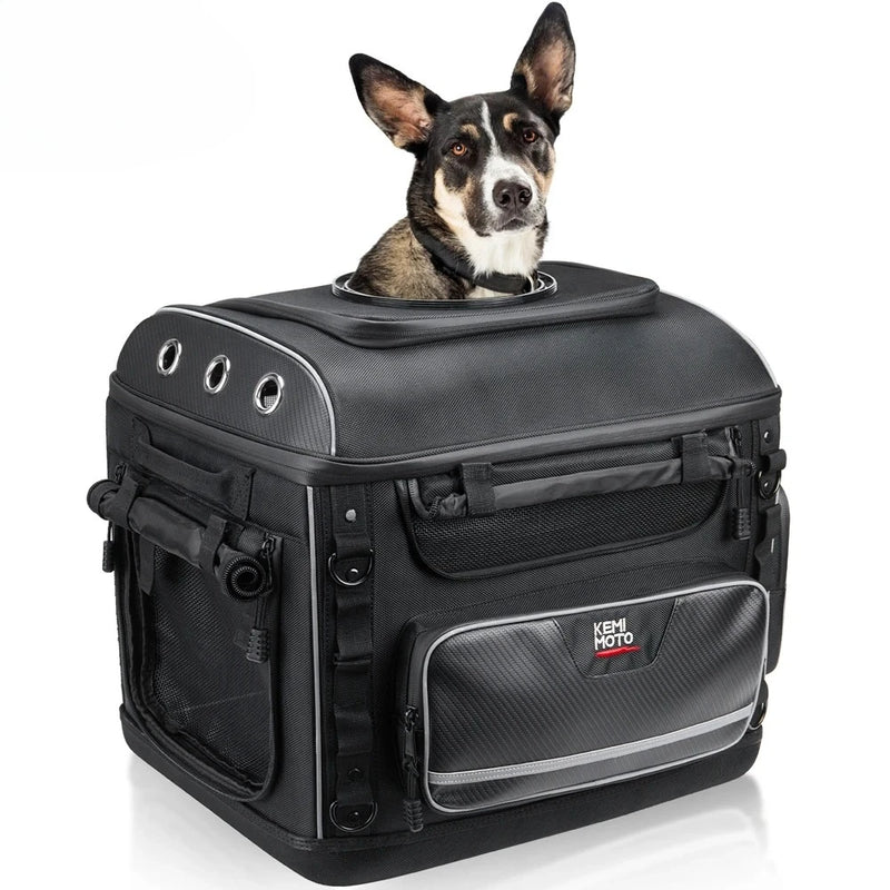 防水オックスフォード製のバイク用ペットキャリーバッグ（犬猫対応リアシートバッグ）、KEMiMOTO製、上部に犬が見える