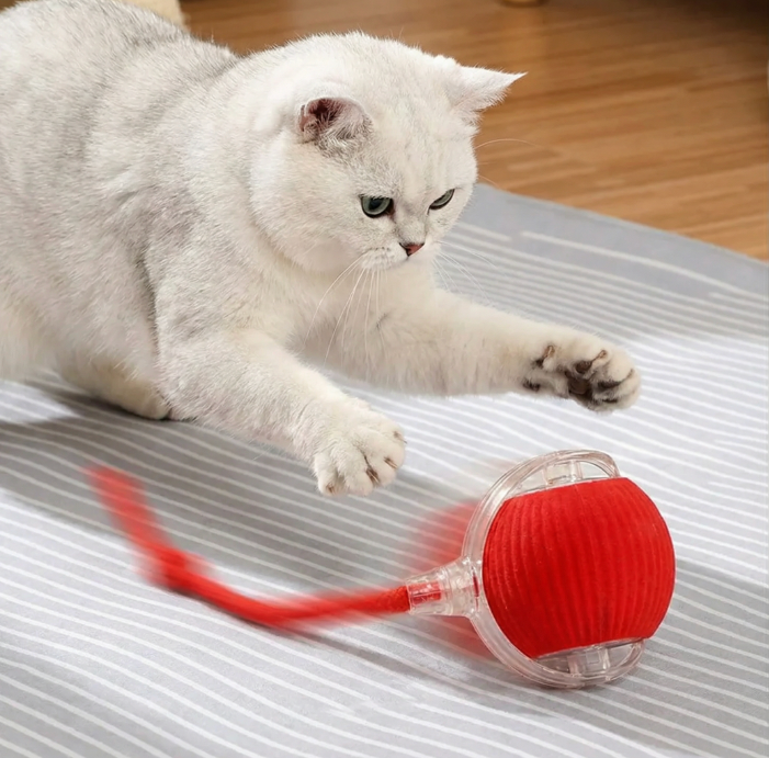赤色のフェイクテイル付き自動転がりボール（猫犬兼用スマートおもちゃ）by Petopop、灰色と白のストライプの背景に置かれ、猫が遊んでいます。