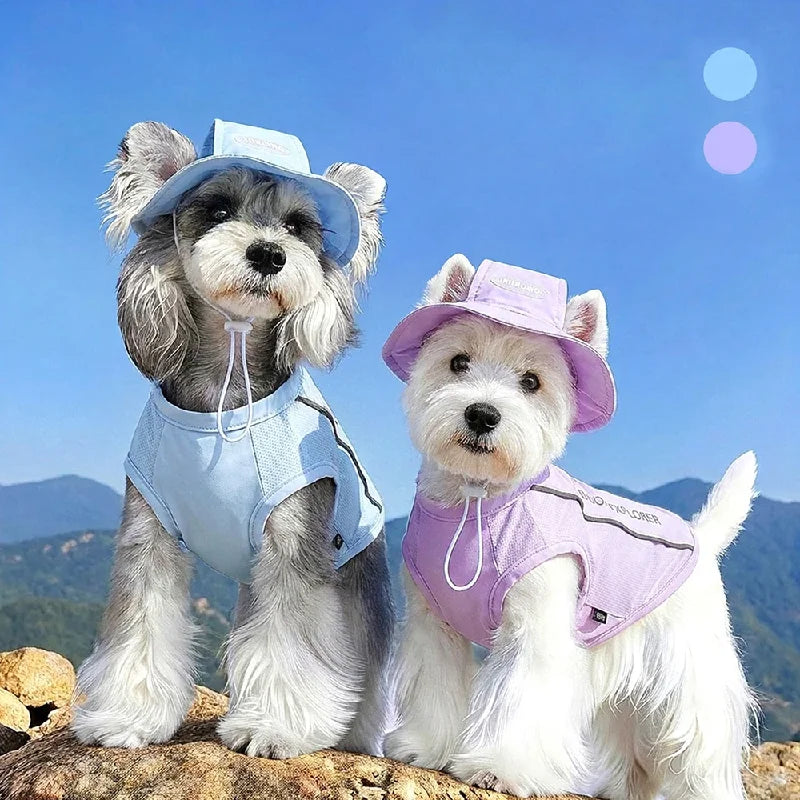 PetoPop 瞬間冷却ペット用クールベスト フード付き｜接触冷感・UPF50+・反射プリント搭載（犬猫兼用）