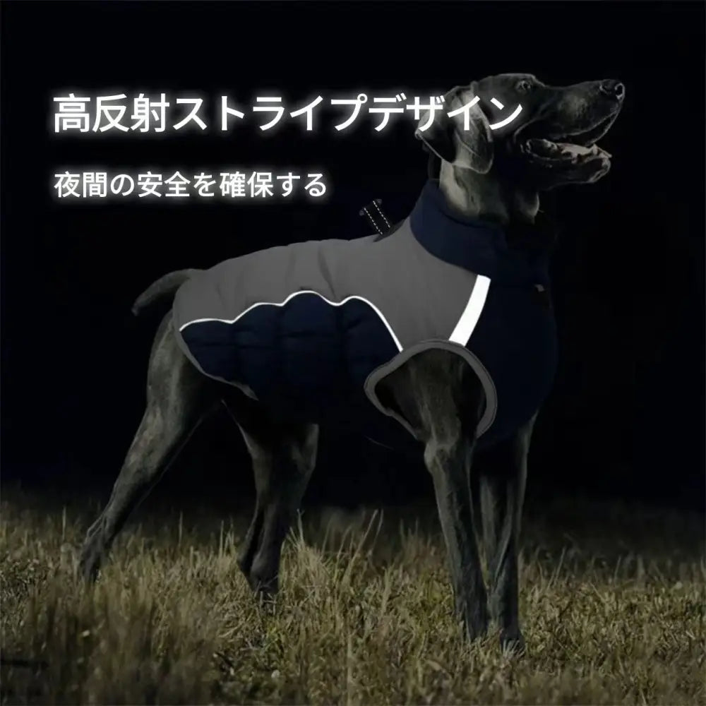 犬用防水防寒ジャケット（冬用コート）大型犬対応 by PetoPop、反射ストライプデザインと襟付きのデザインが特徴的