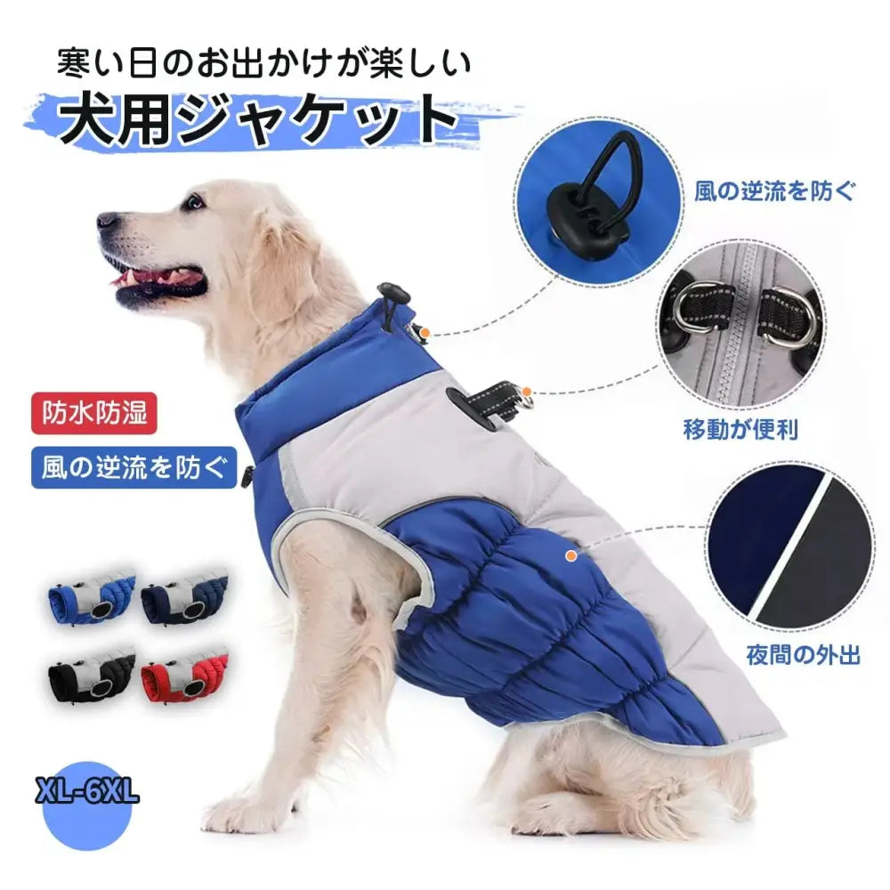 大型犬用の防水防寒ジャケット（冬用コート）by PetoPop、青とグレーの切り替えデザイン。