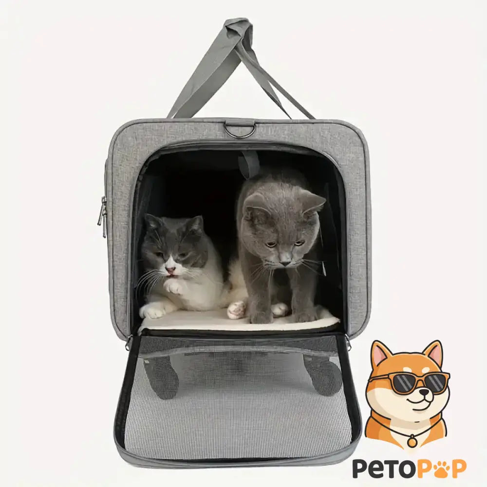 グレーのペット用キャリーケース（Petopop製）に猫が2匹入っている様子