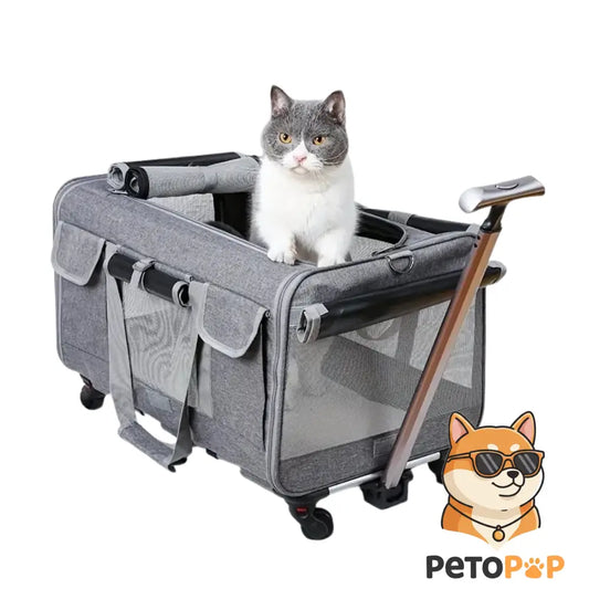 グレーの大型ペット用キャリートロリーケース（折りたたみ式、取り外し可能）、Petopop製、猫入り。