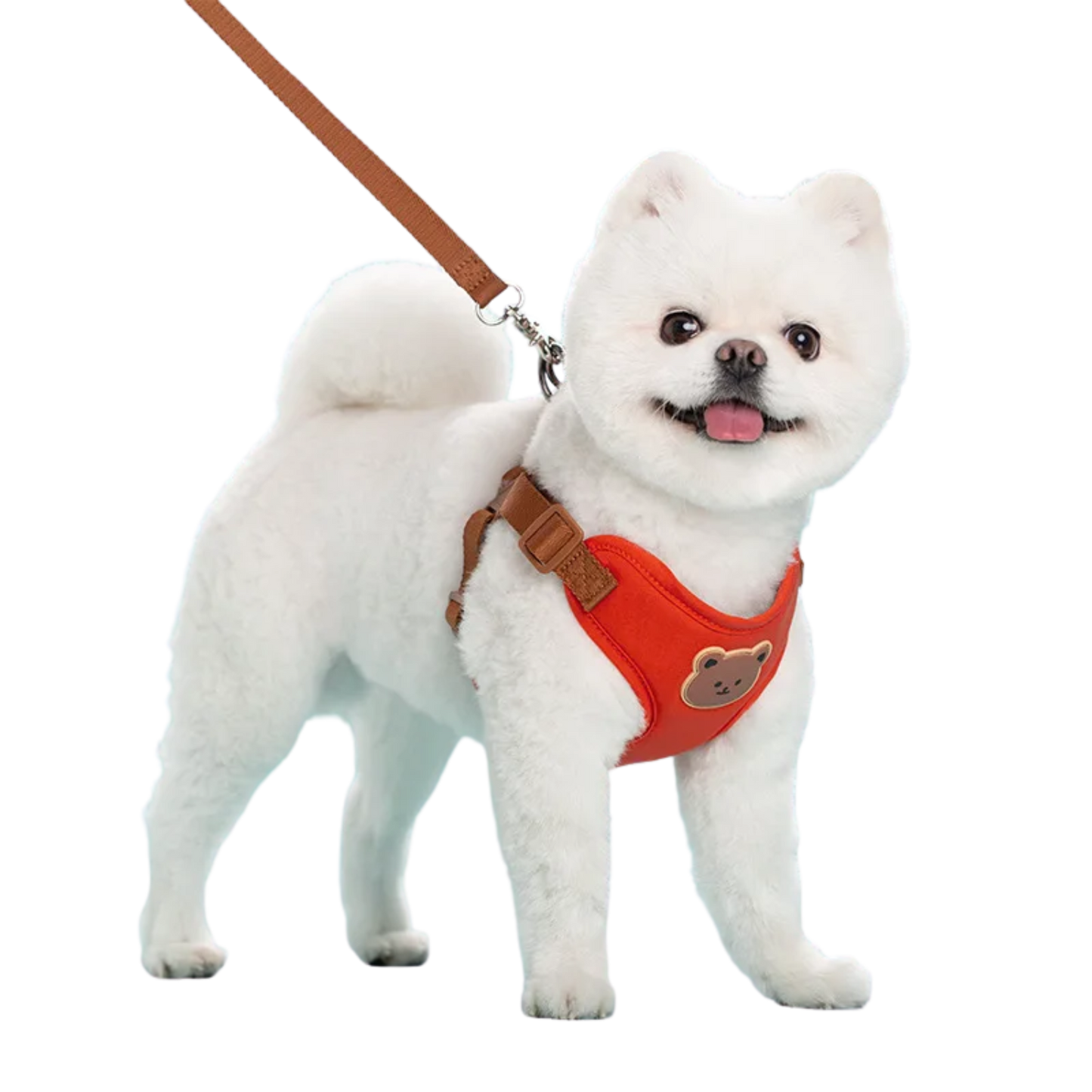 小型犬・中型犬用の赤色ハーネスとリードのセット（Petopop製）で、テディベアのアップリケが付いています。