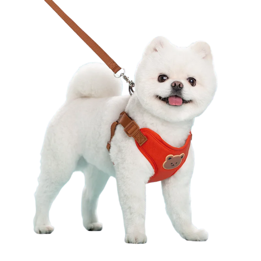 小型犬・中型犬用の赤色ハーネスとリードのセット（Petopop製）で、テディベアのアップリケが付いています。