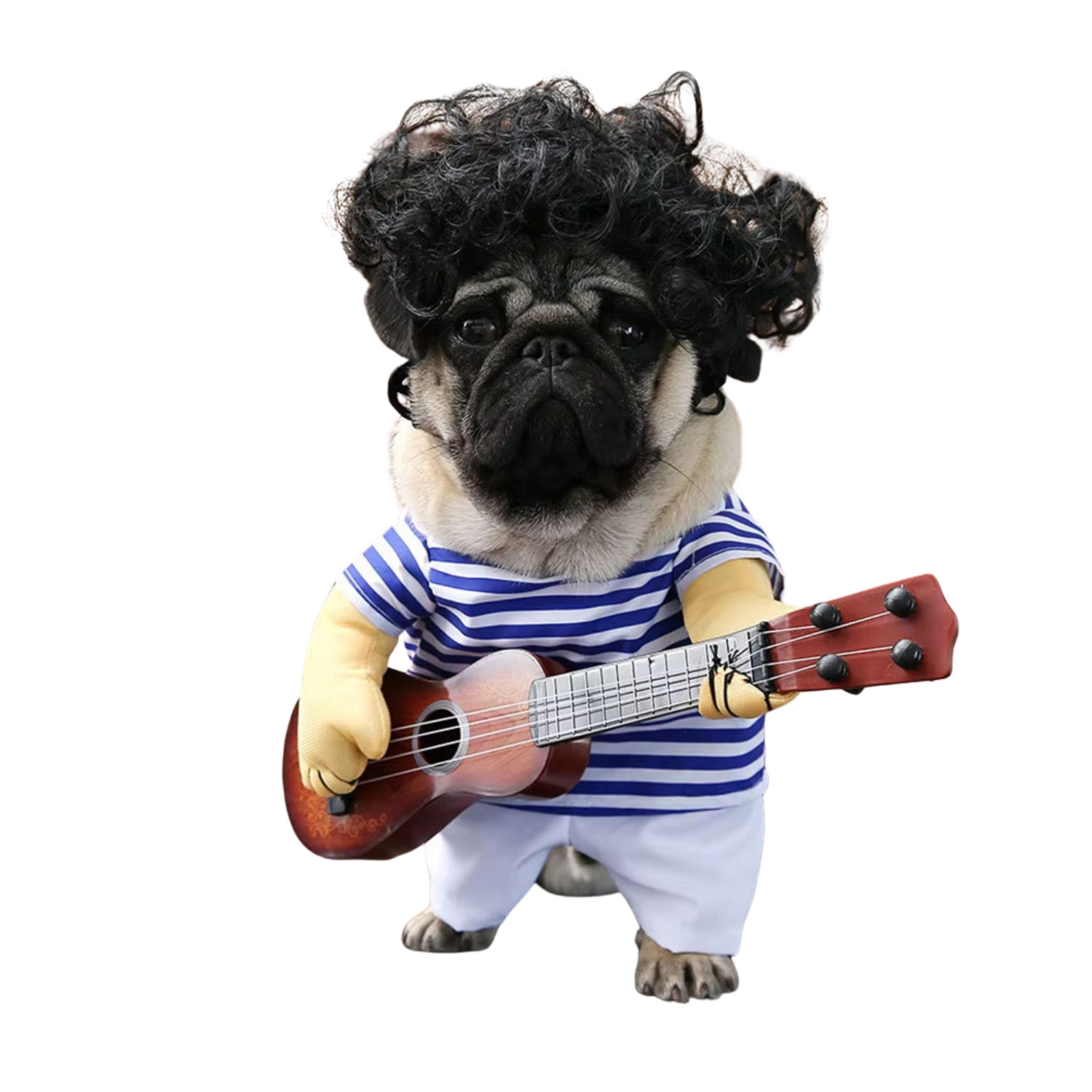 ギターを演奏する犬用コスチューム（Petopop製）、ストライプのシャツとアフロヘアウィッグ付き