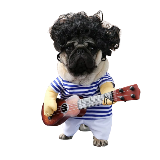 ギターを演奏する犬用コスチューム（Petopop製）、ストライプのシャツとアフロヘアウィッグ付き