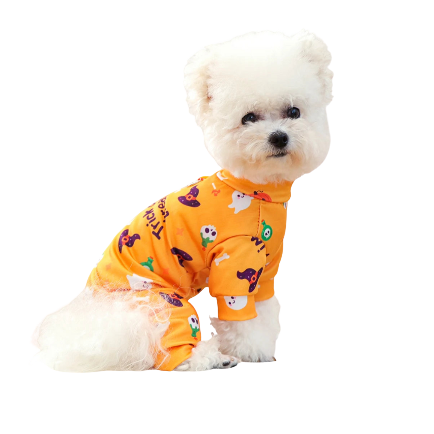 オレンジ色の犬用ペット服(Petopop製)で、ハロウィーンをテーマにした模様が施されています。