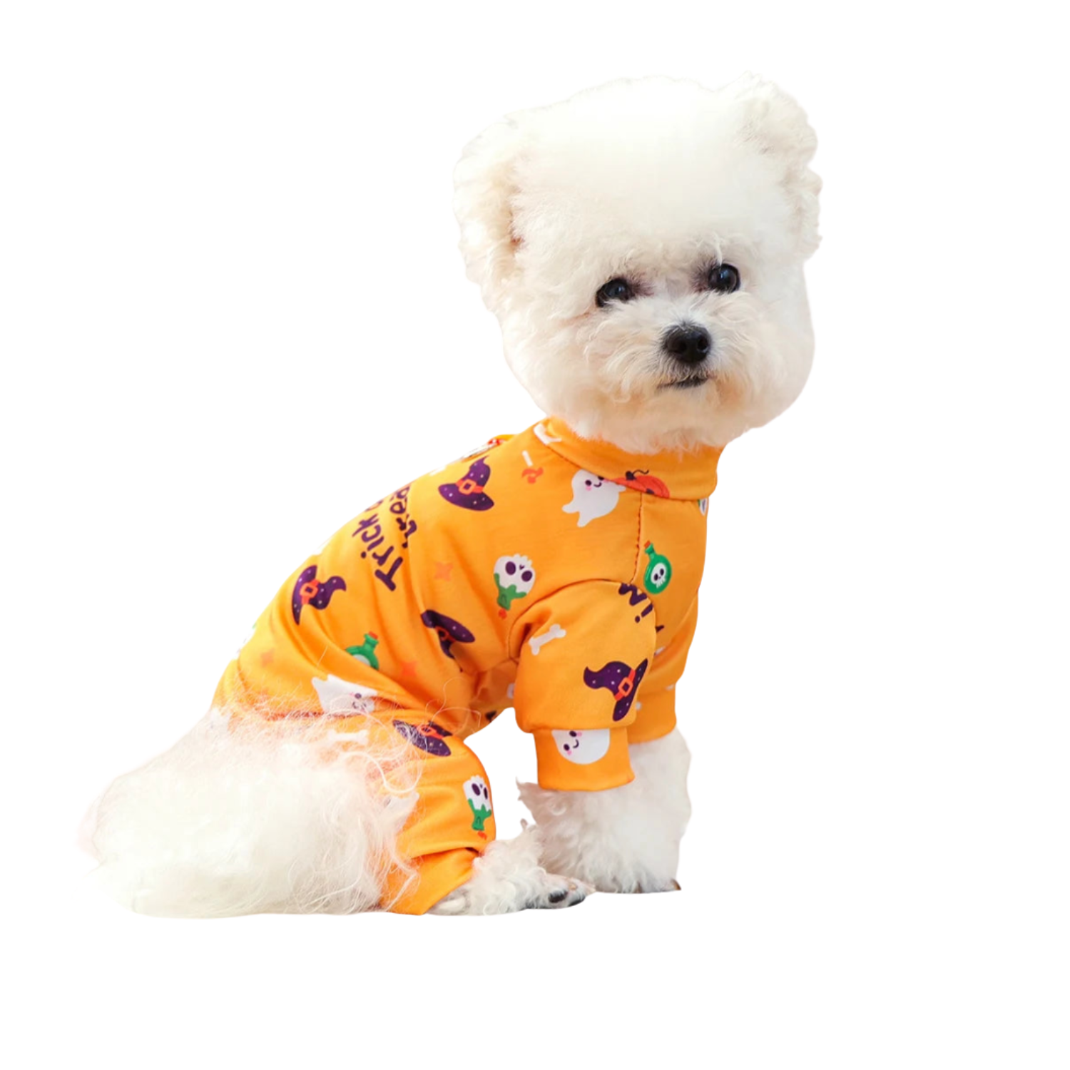 オレンジ色の犬用ペット服(Petopop製)で、ハロウィーンをテーマにした模様が施されています。