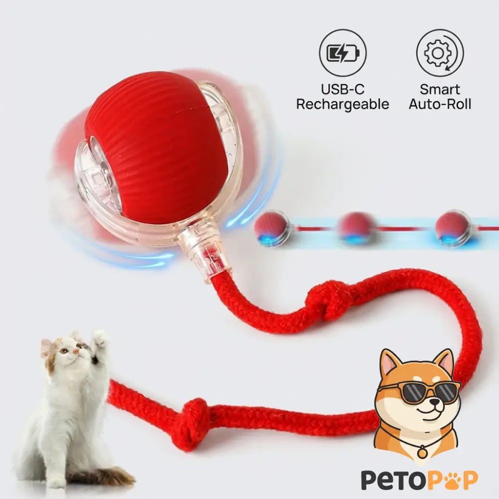 赤色のスマートペットボール、petopop.live製、猫が遊ぶ様子と犬のキャラクター付き