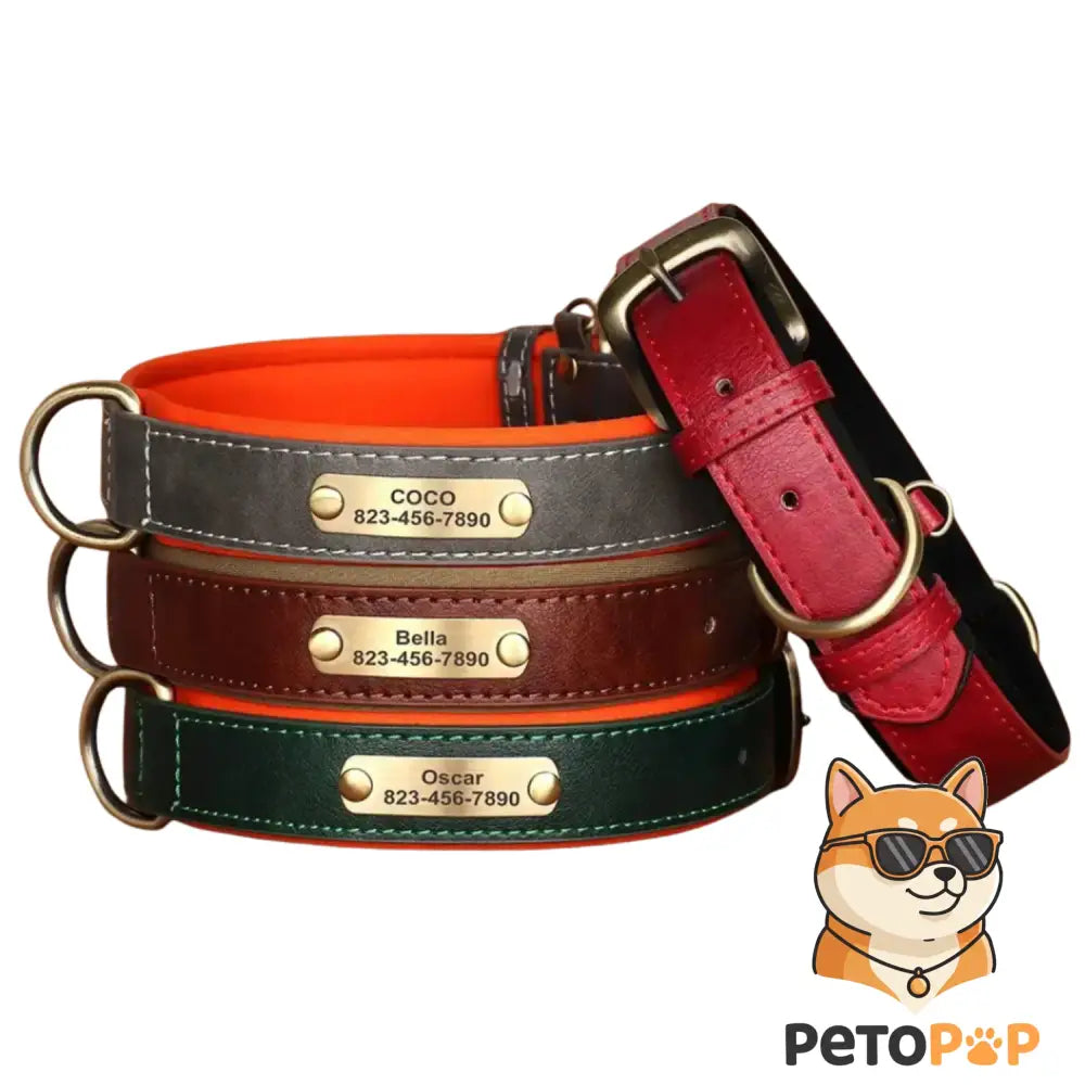 刻印IDタグ付きの本革犬用首輪（ソフトパッド、サイズ調整可能）、Petopop製、色違いで複数重ねて表示。