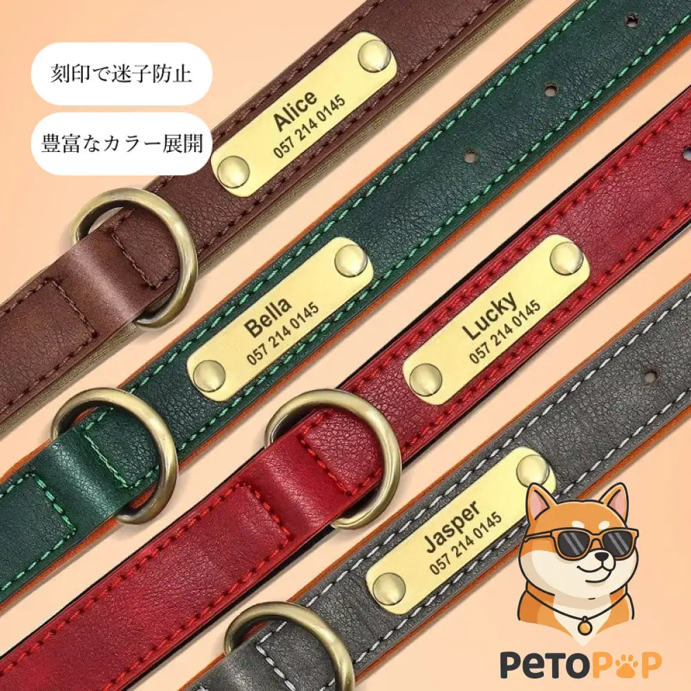 刻印IDタグ付きの本革犬用首輪（Petopop製）、豊富なカラー展開とソフトパッド、サイズ調整可能