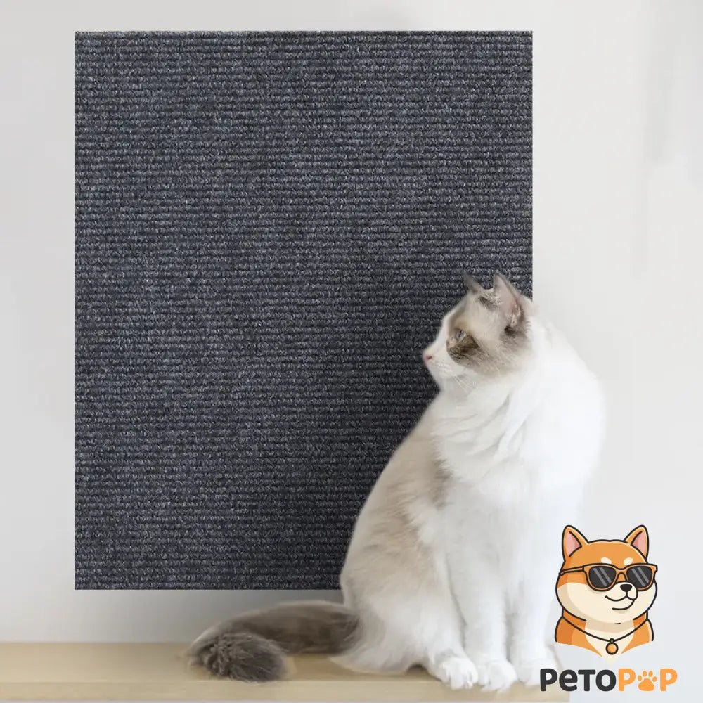 【PetoPop】DIY 貼れる猫用爪とぎマット｜自由自在にカット可能・壁やソファの家具保護に・強力吸着カーペット チャコールグレー / 30x30CM
