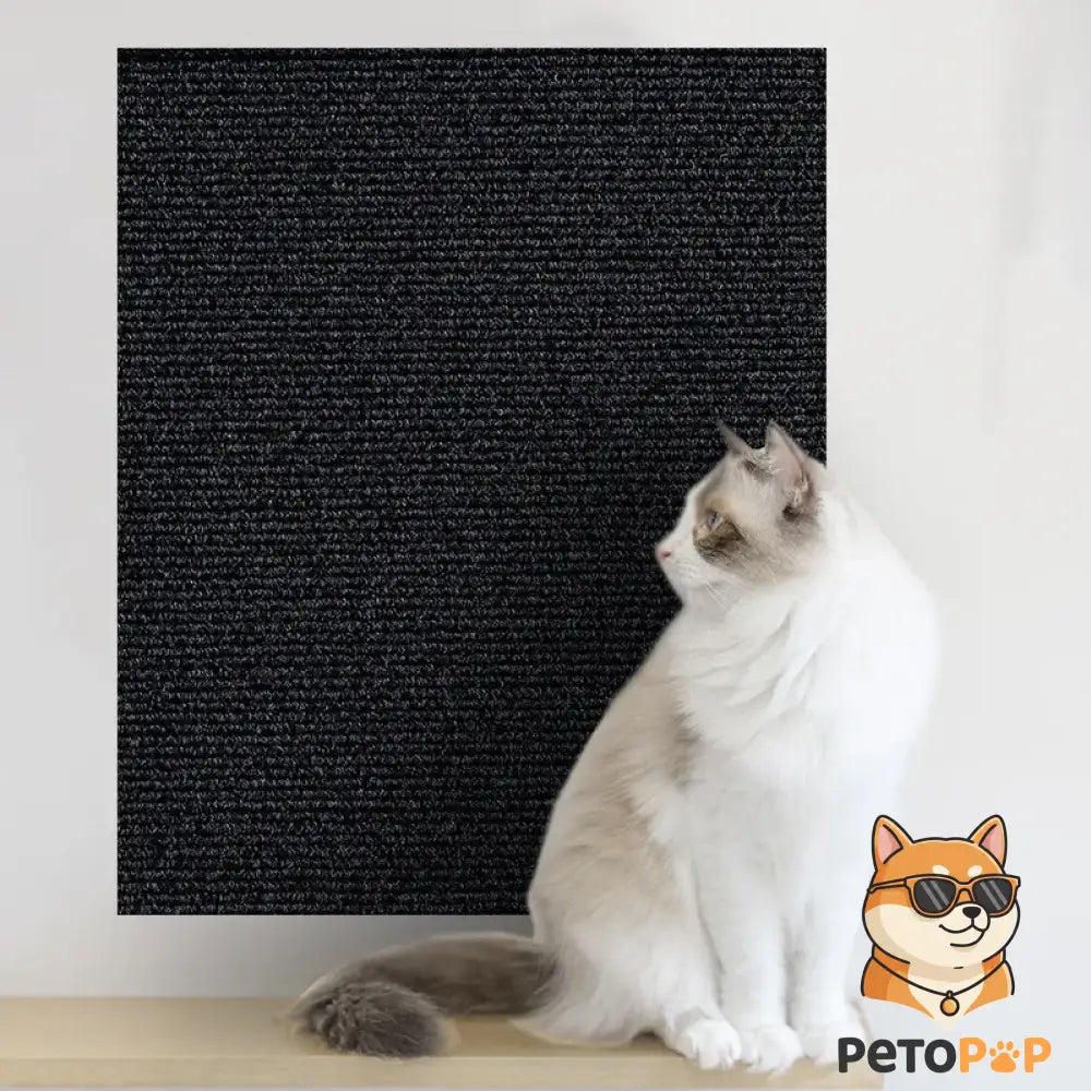 【PetoPop】DIY 貼れる猫用爪とぎマット｜自由自在にカット可能・壁やソファの家具保護に・強力吸着カーペット ミッドナイトブラック / 30x30CM