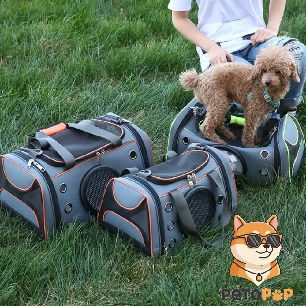 グレーのペット用キャリーバッグ（大中小）、通気性の良いメッシュ付き、オレンジ色の縁取り、Petopop製、犬がバッグに乗っている