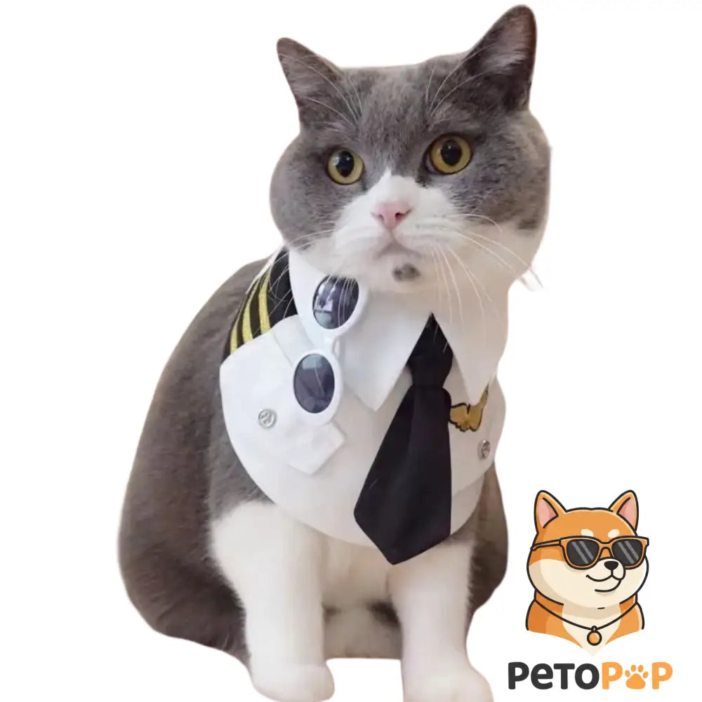 "Captain America Cosplay Costume for Dogs and Cats – product image 3