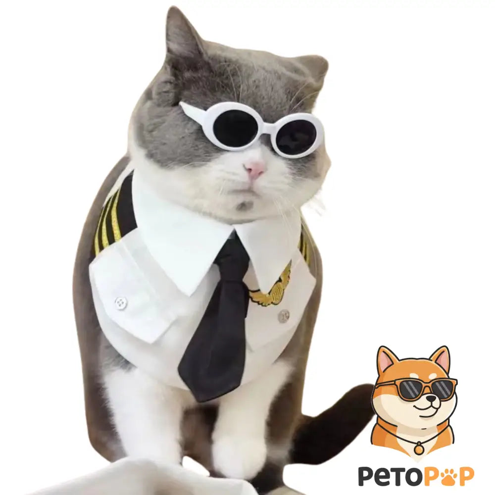 "Captain America Cosplay Costume for Dogs and Cats – shown in use 2