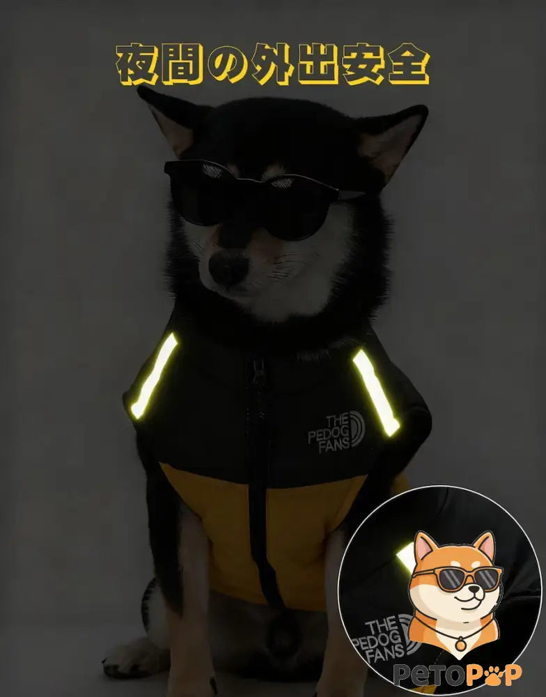 Dog Winter Coats – shown in use 2