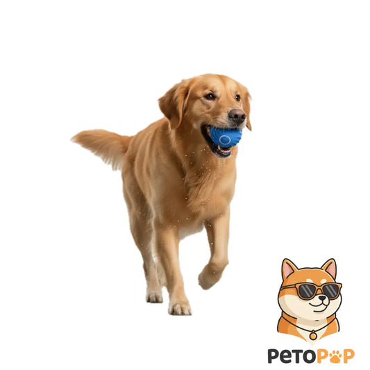 スマート犬用おもちゃボール｜USB充電式 電動インタラクティブボール｜自動で動く・跳ねる猫犬兼用｜Petopop