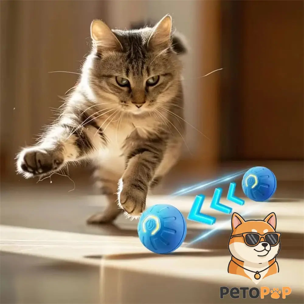 スマート犬用おもちゃボール｜USB充電式 電動インタラクティブボール｜自動で動く・跳ねる猫犬兼用｜Petopop