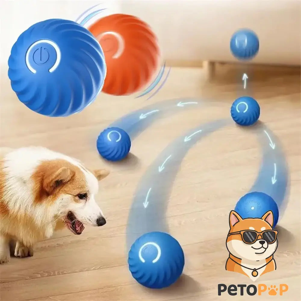 スマート犬用おもちゃボール｜USB充電式 電動インタラクティブボール｜自動で動く・跳ねる猫犬兼用｜Petopop