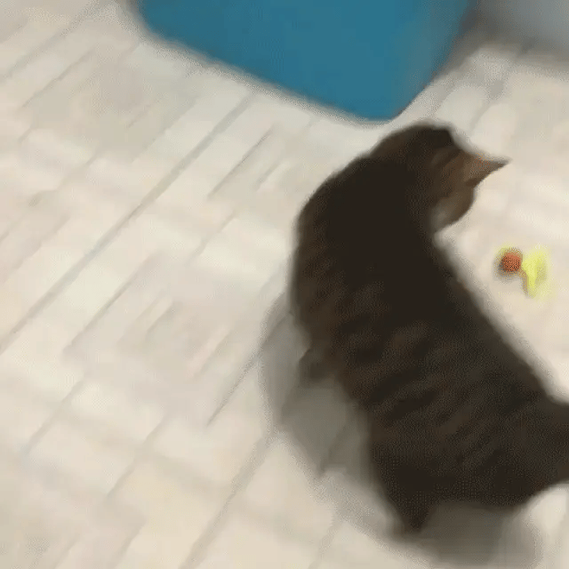 PetoPop Interactive Caterpillar Bouncing Ball Cat Toy