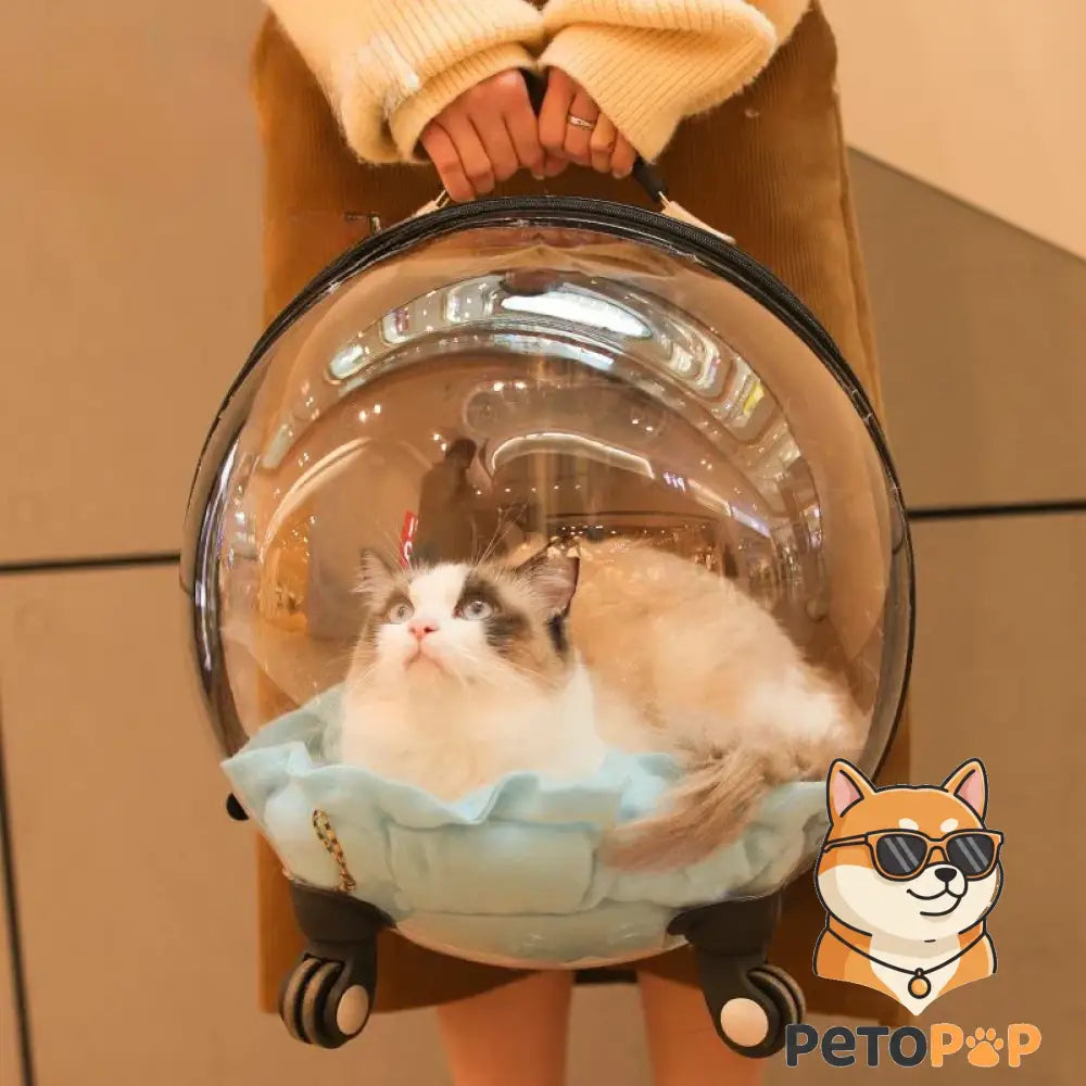 透明な宇宙カプセル風キャットバッグ（ポータブルトロリーケース）by petopop.live、猫入り、車輪付き
