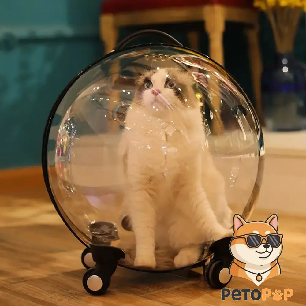  透明な宇宙カプセル風キャットバッグ、petopop.live製、猫入り、車輪付き